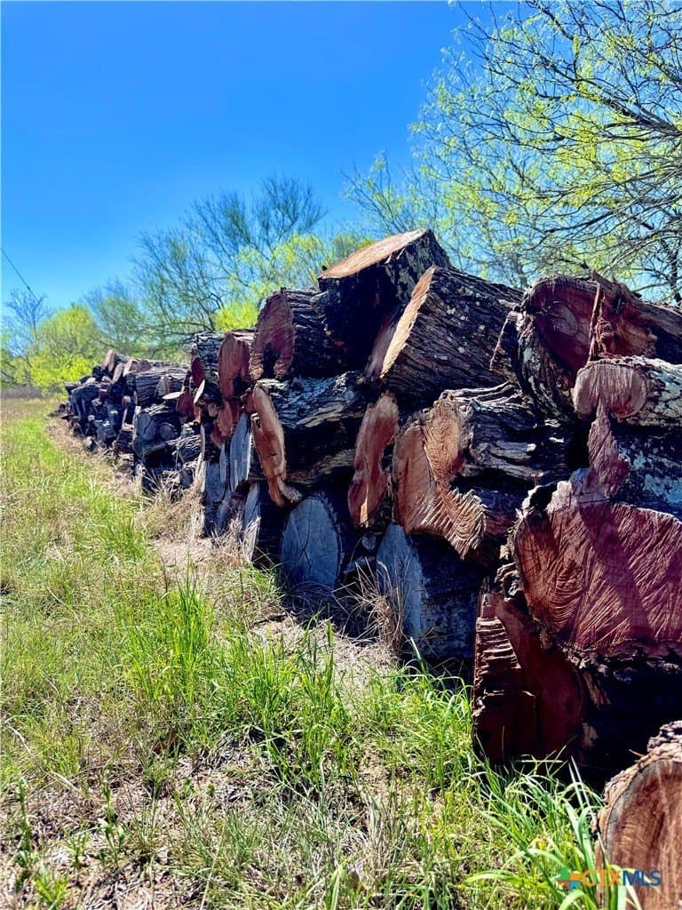 11 acres in Guadalupe County - photo 15