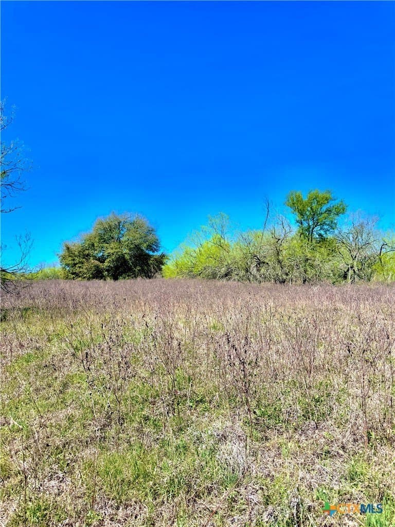 11 acres in Guadalupe County - photo 13