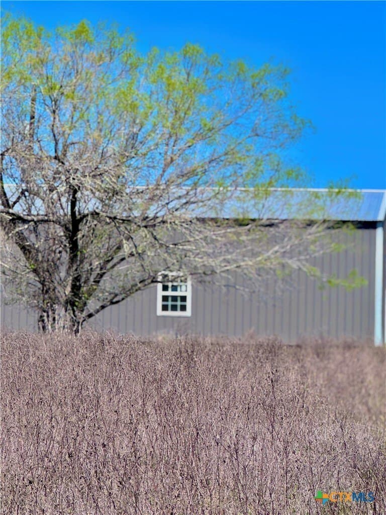 11 acres in Guadalupe County - photo 7