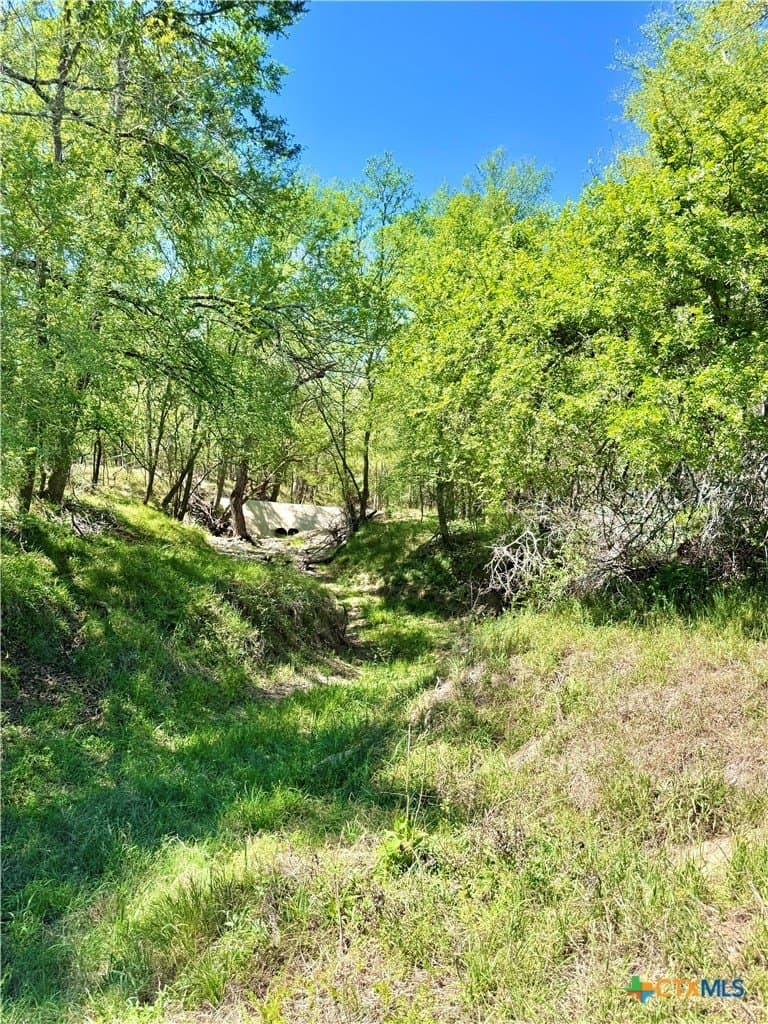 11 acres in Guadalupe County