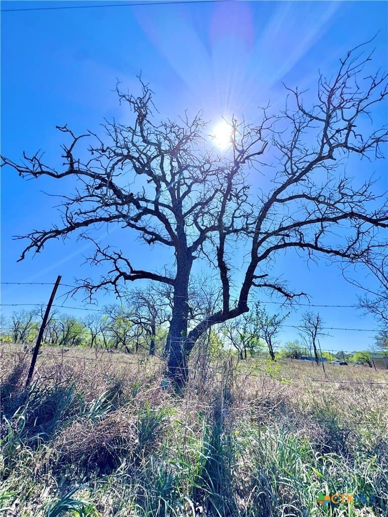 11 acres in Guadalupe County gallery image 4