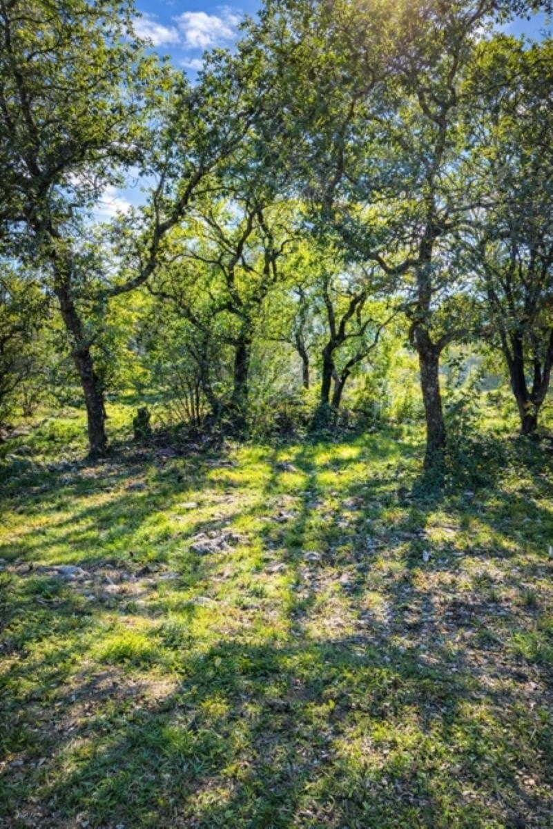 0.24 acres in Llano County featured view