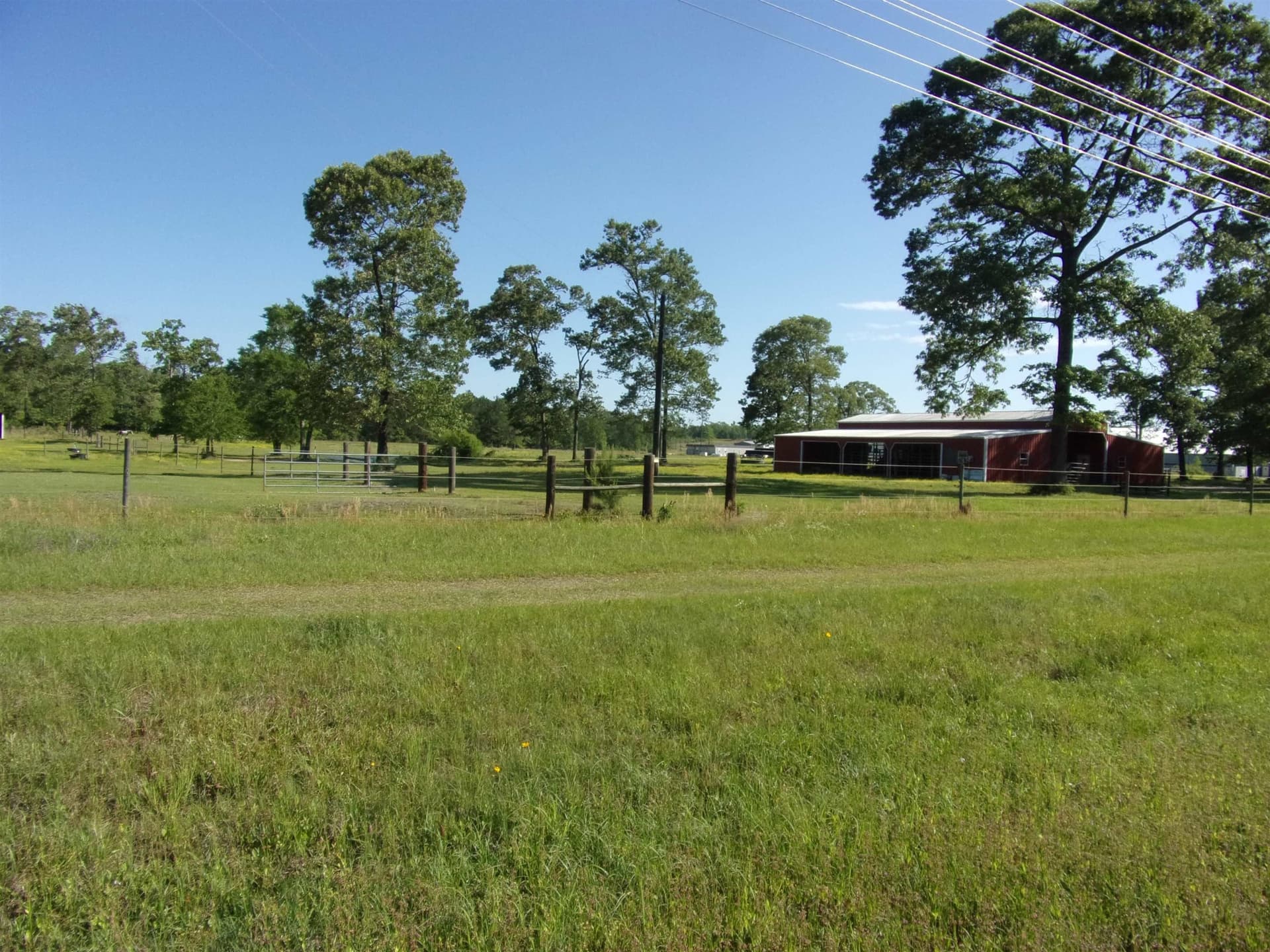 19.5 acres in Texas County gallery image 2