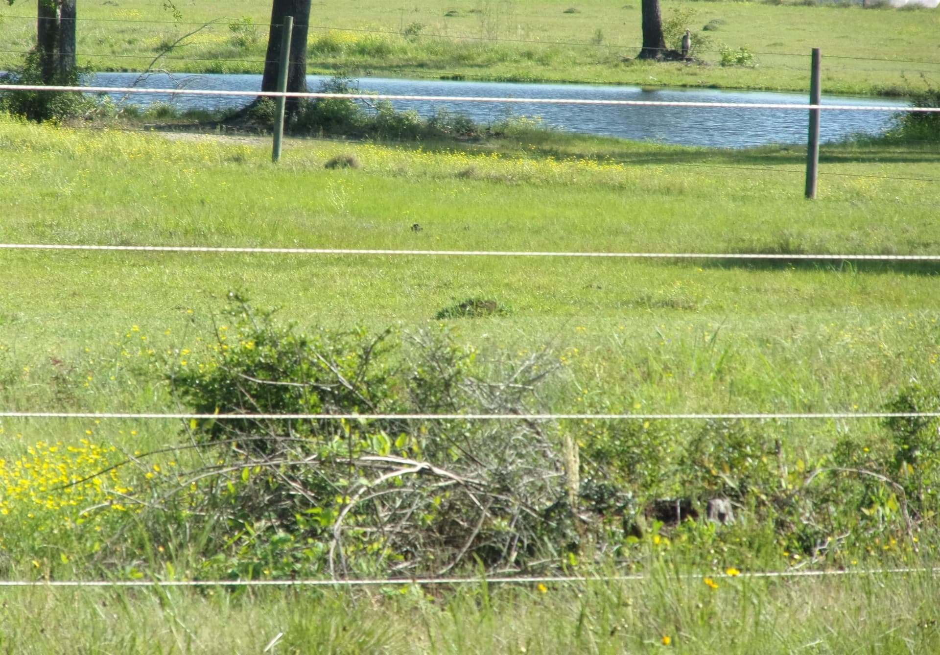 19.5 acres in Texas County gallery image 3