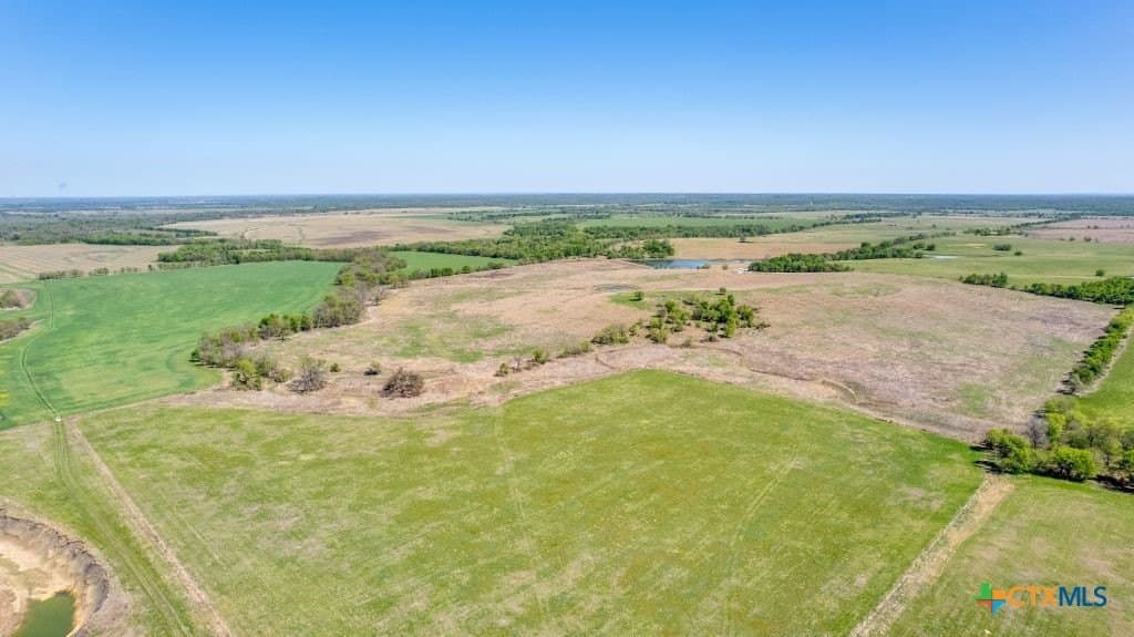 99.75 acres in Milam County - photo 10