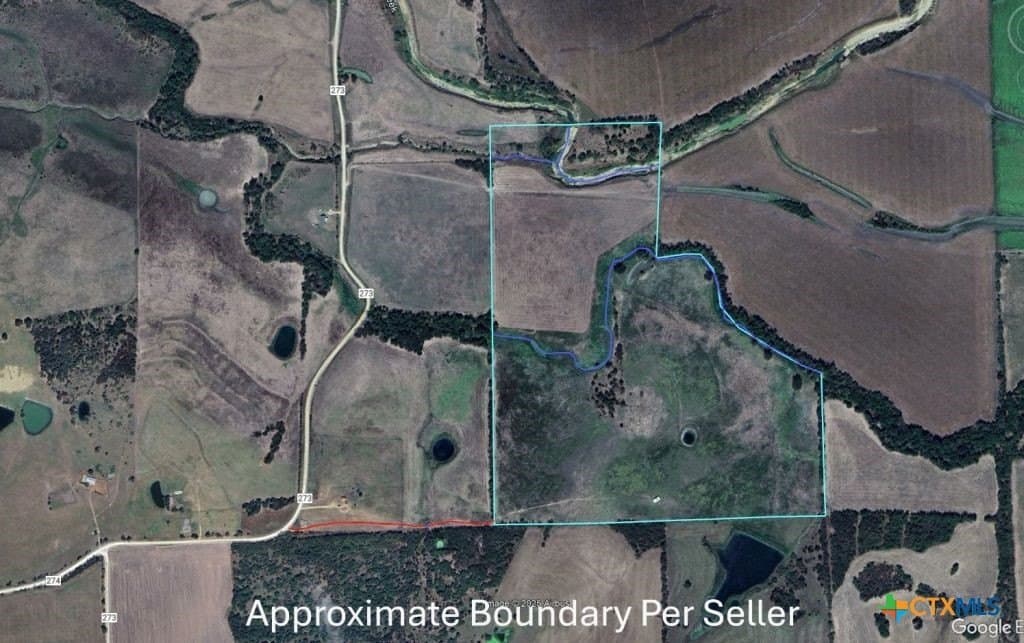 99.75 acres in Milam County gallery image 4