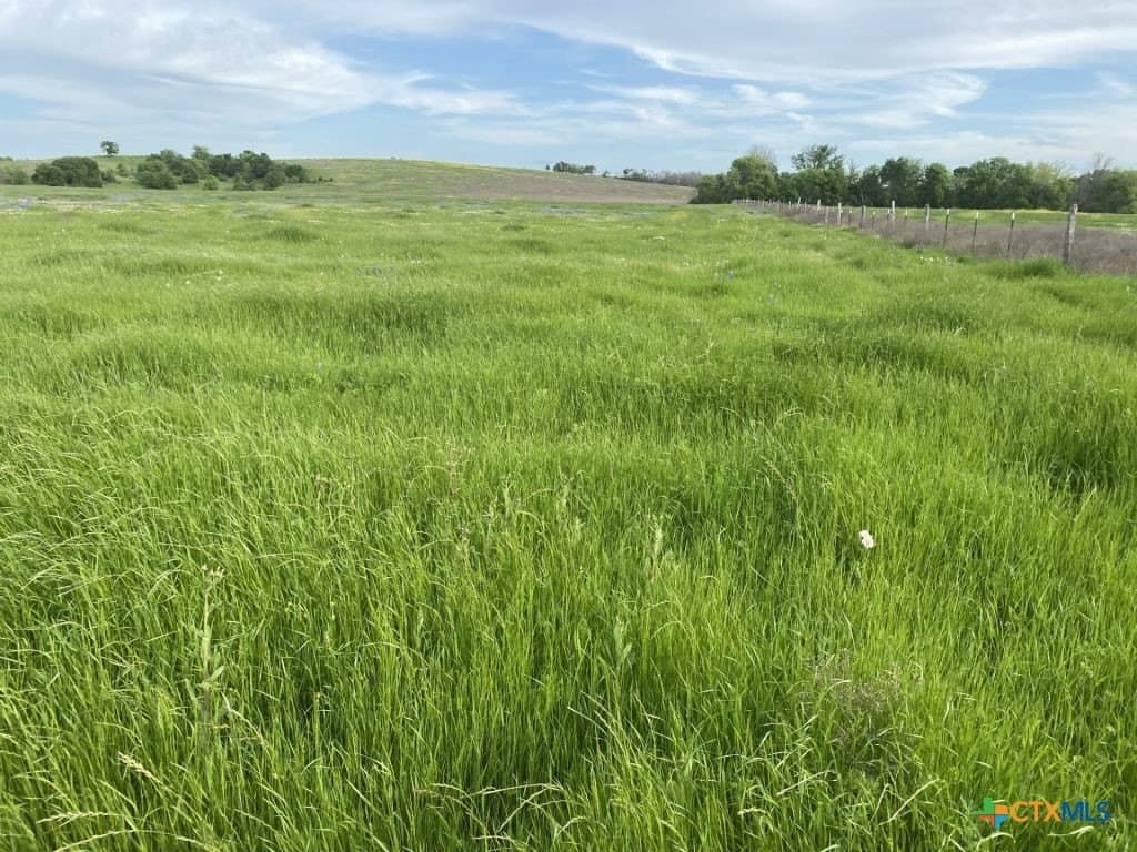 99.75 acres in Milam County - photo 21