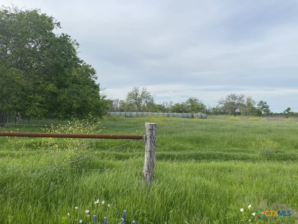 99.75 acres in Milam County - photo 17