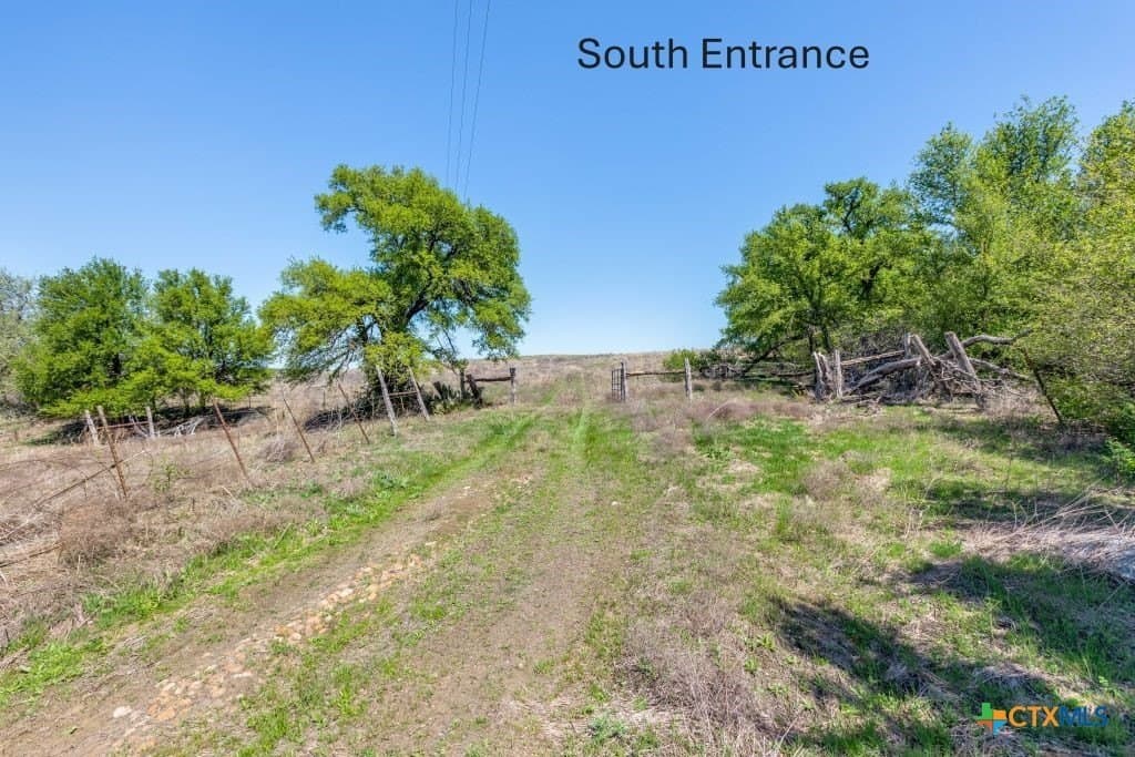 99.75 acres in Milam County - photo 19