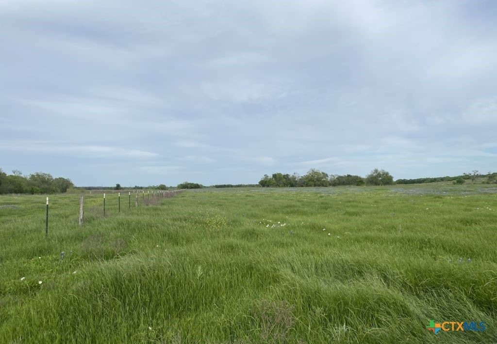 99.75 acres in Milam County - photo 15