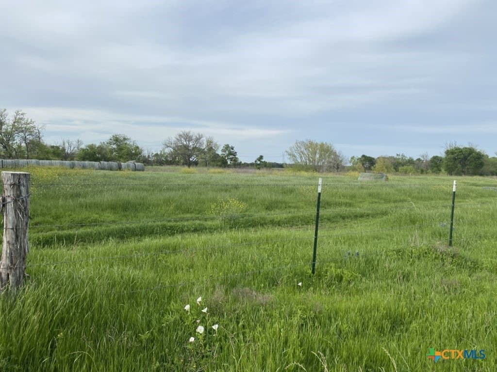99.75 acres in Milam County - photo 14