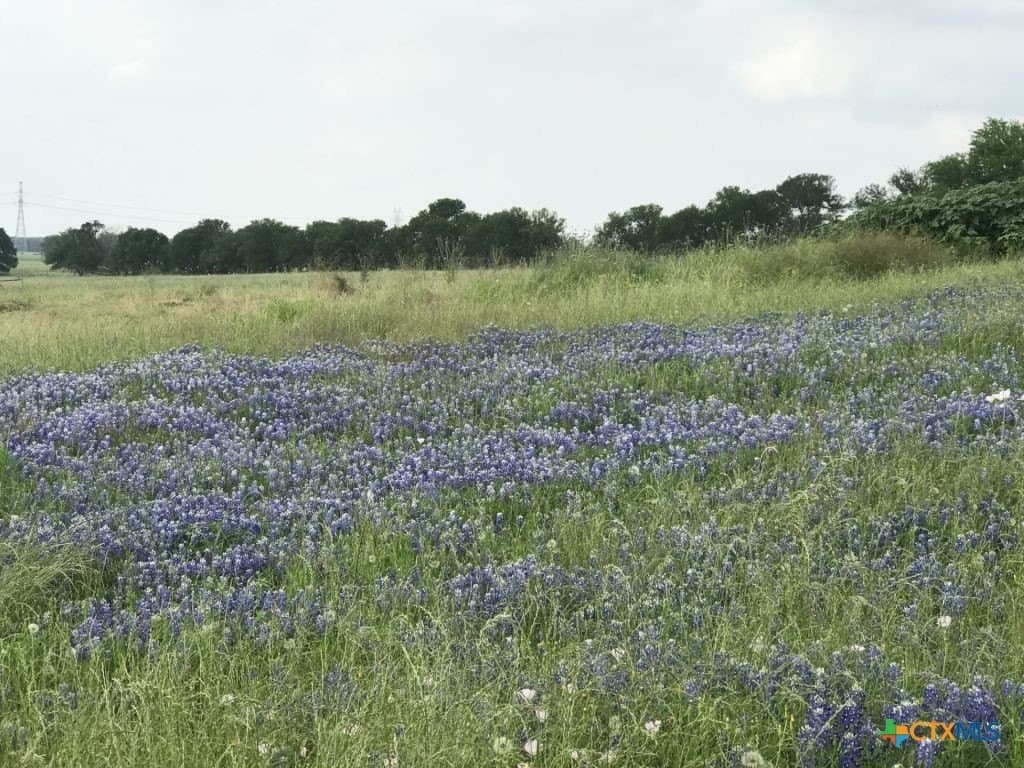 99.75 acres in Milam County - photo 20