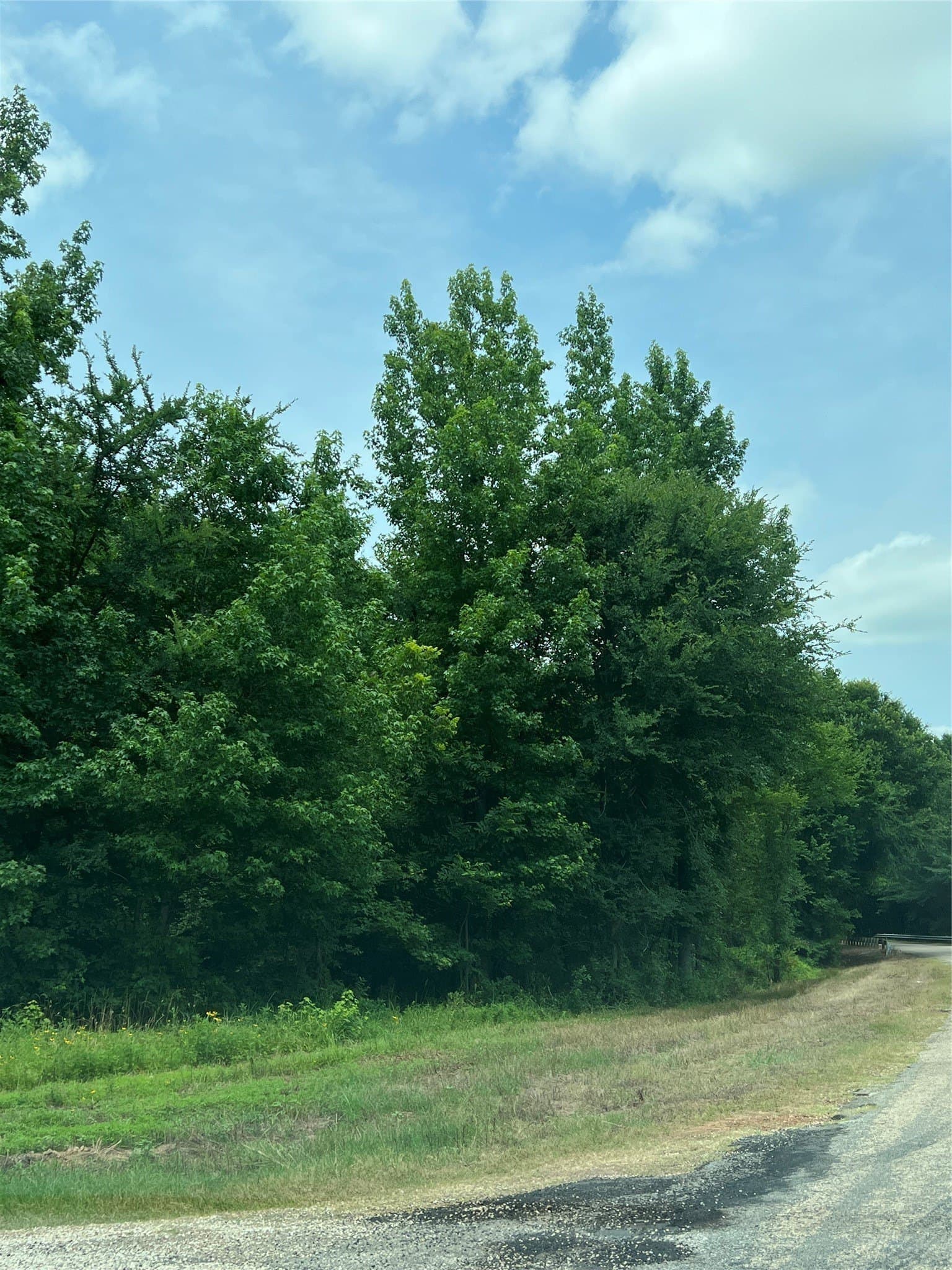 10.71 acres in Franklin (TX) County - photo 5
