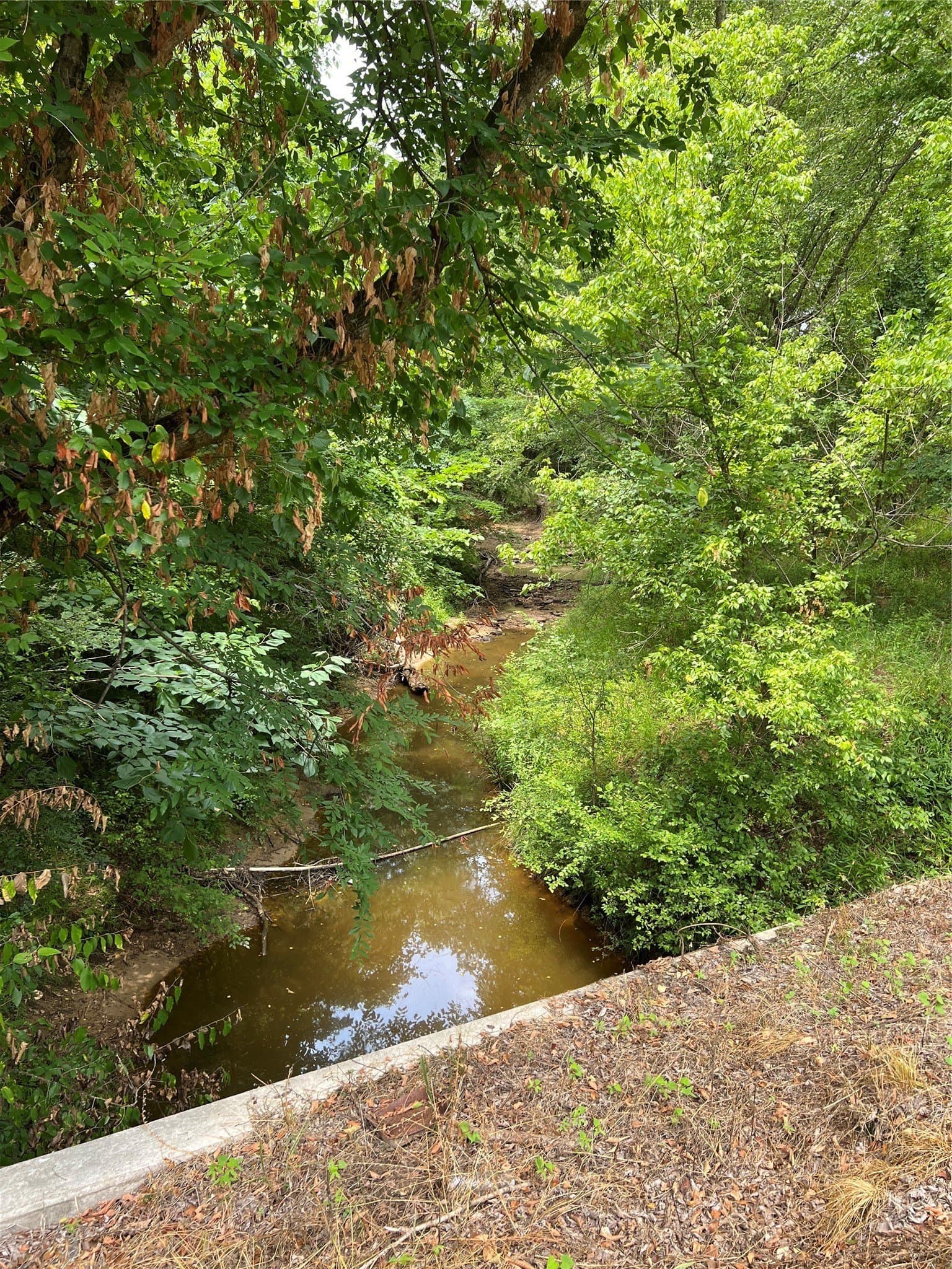 10.71 acres in Franklin (TX) County - photo 3