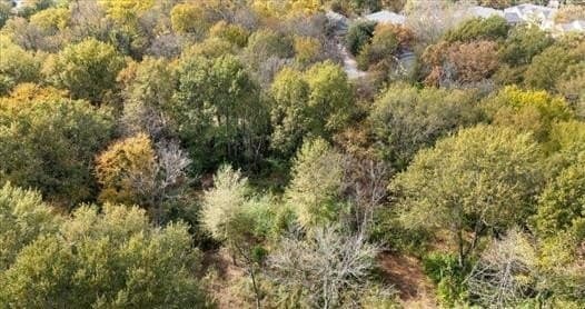 3.98 acres in Smith County gallery image 3