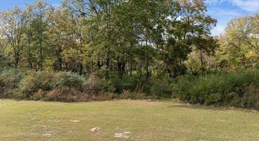 3.98 acres in Smith County gallery image 2