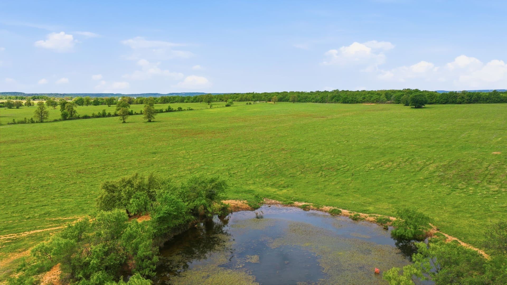 225.2 acres in Callahan County - photo 36