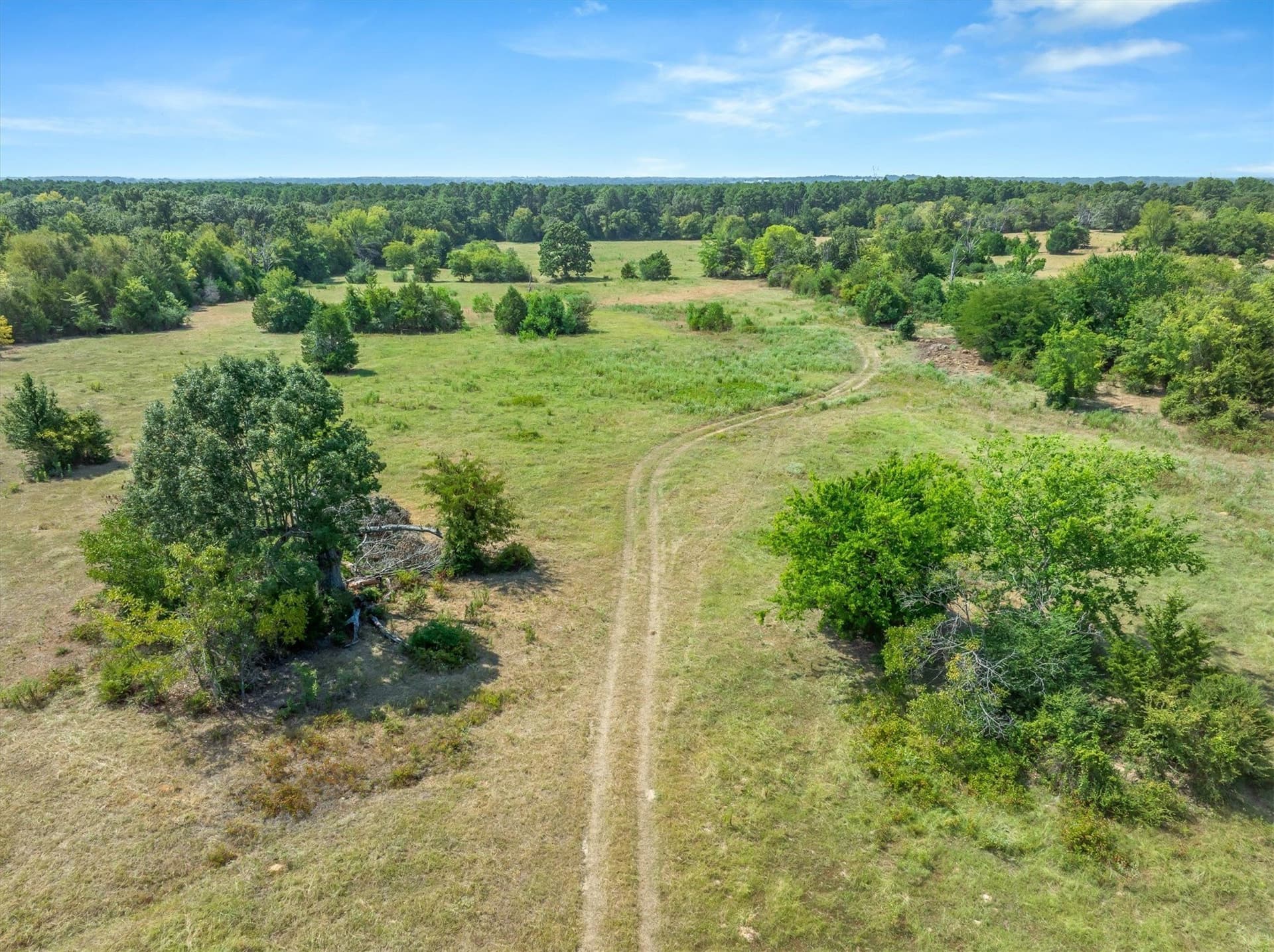 31.65 acres in Van Zandt County - photo 10