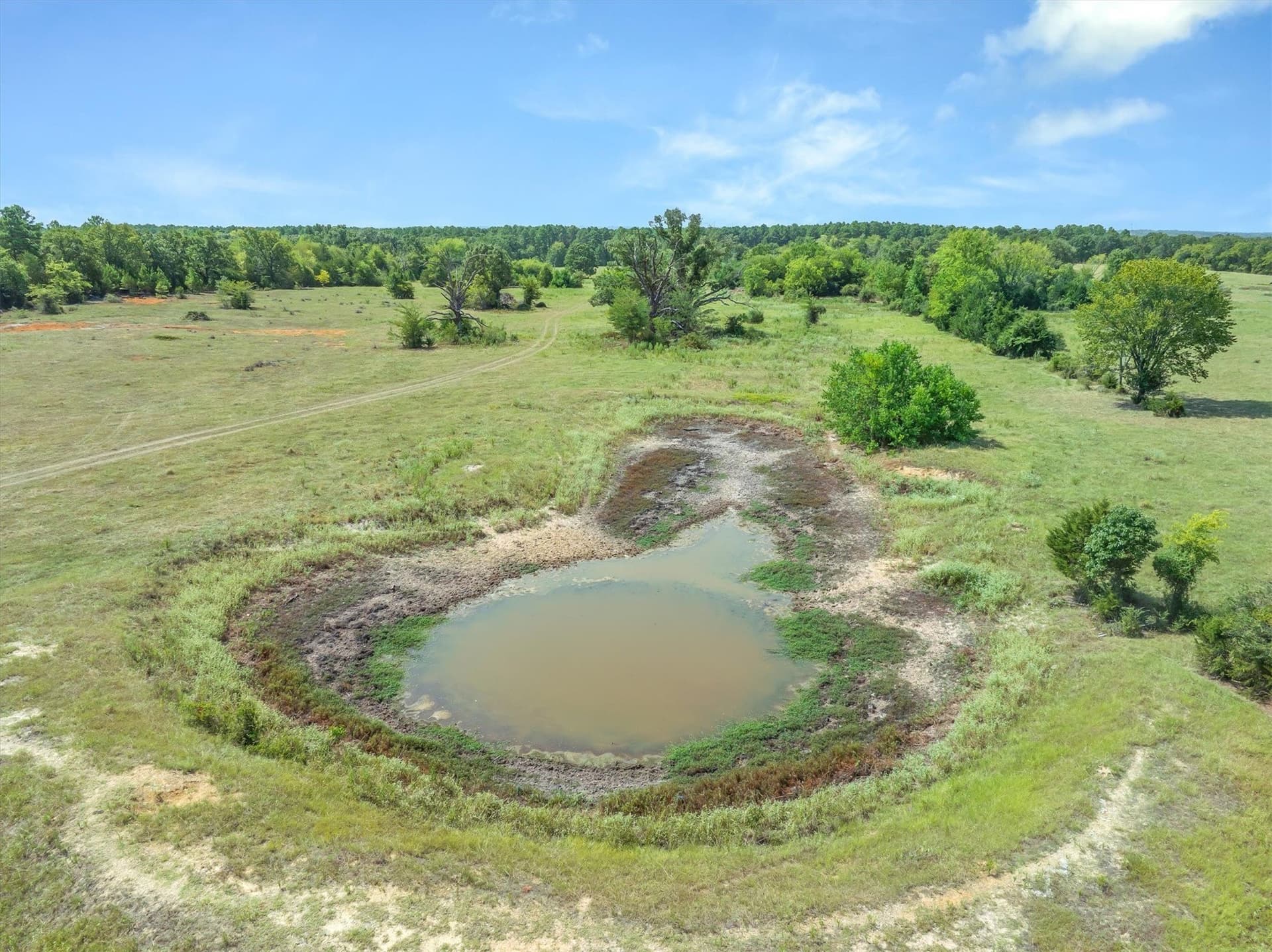 31.65 acres in Van Zandt County - photo 9