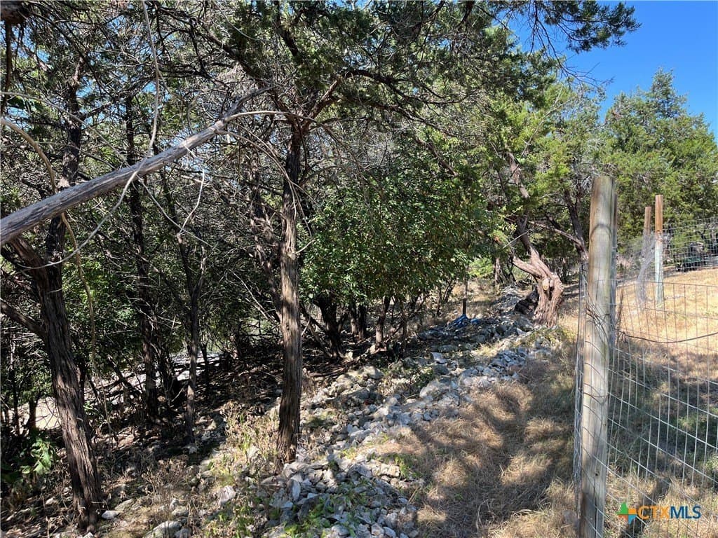 0.16 acres in Bell County - photo 3