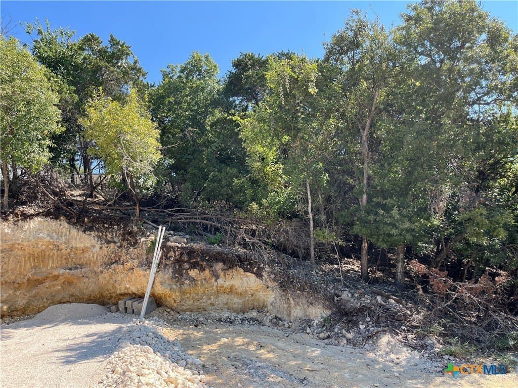 0.16 acres in Bell County - photo 2