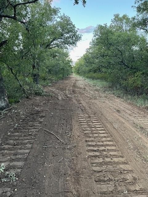 70 acres in Young County gallery image 4