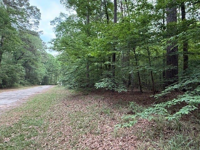 0.76 acres in Texas County - photo 7