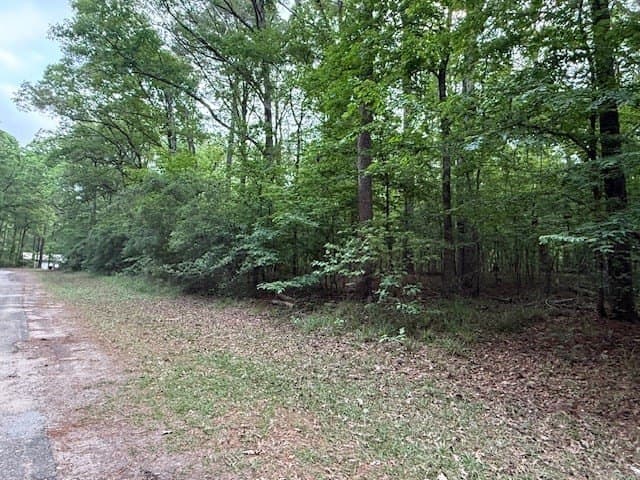 0.76 acres in Texas County - photo 8