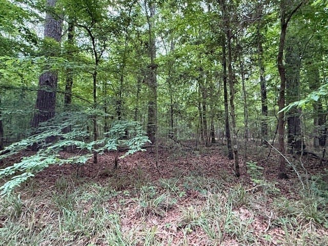 0.76 acres in Texas County - photo 6