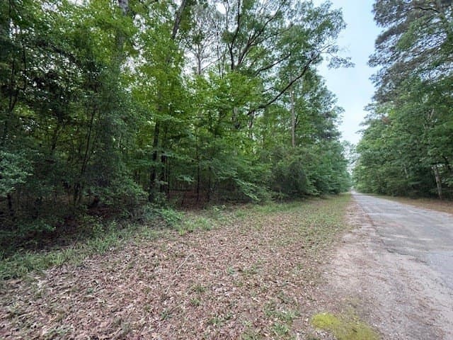 0.76 acres in Texas County - photo 9