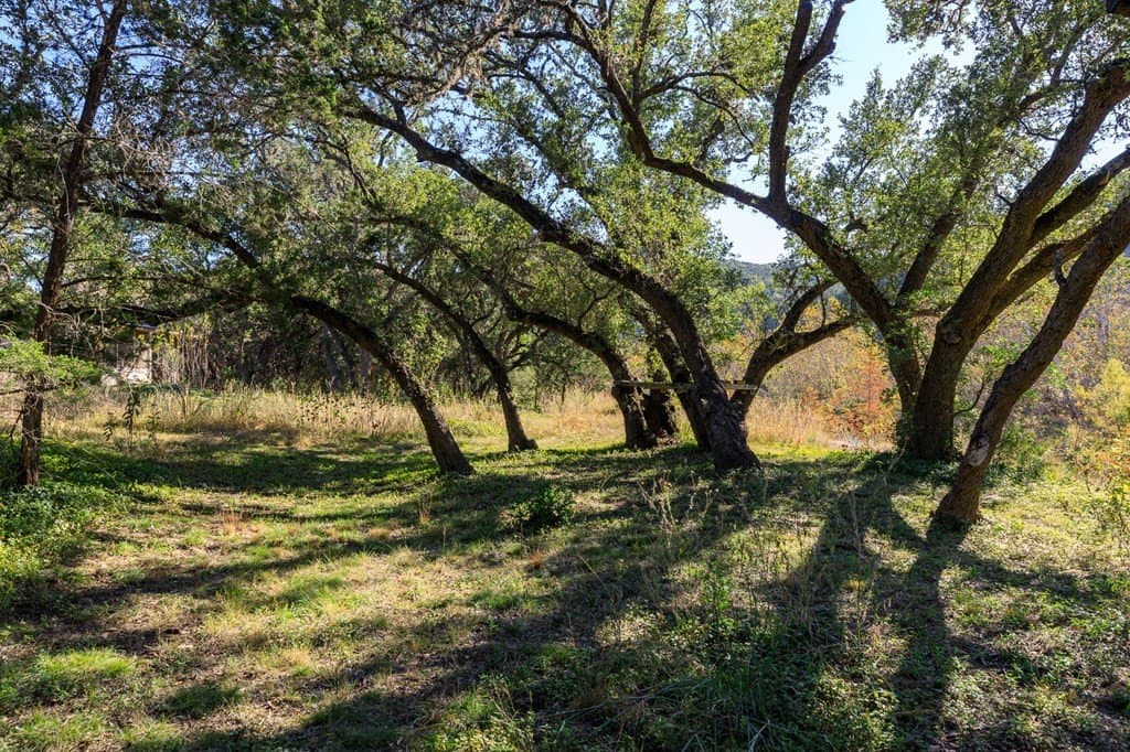 10.8 acres in Real County - photo 40
