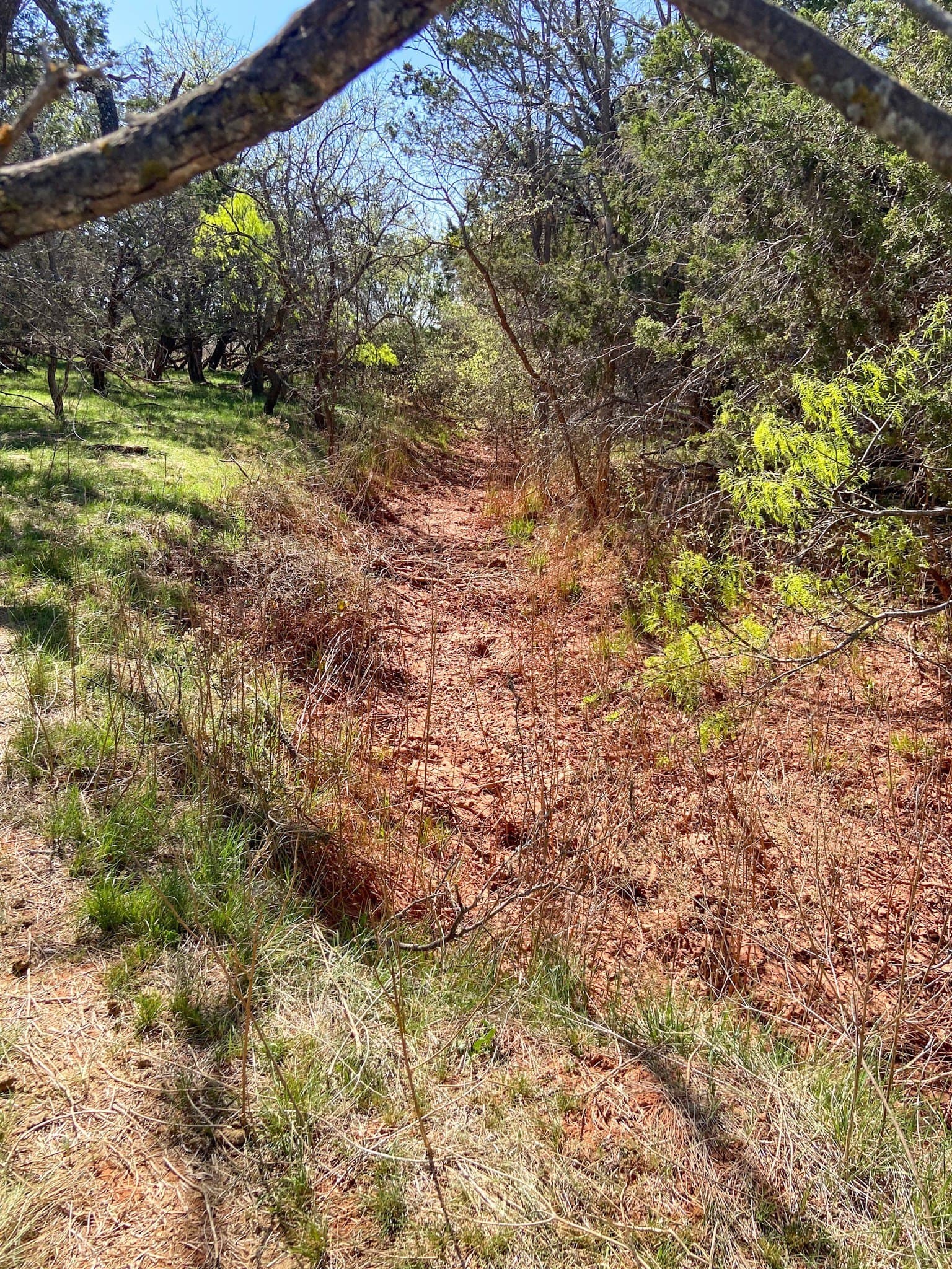 80 acres in Taylor County - photo 5