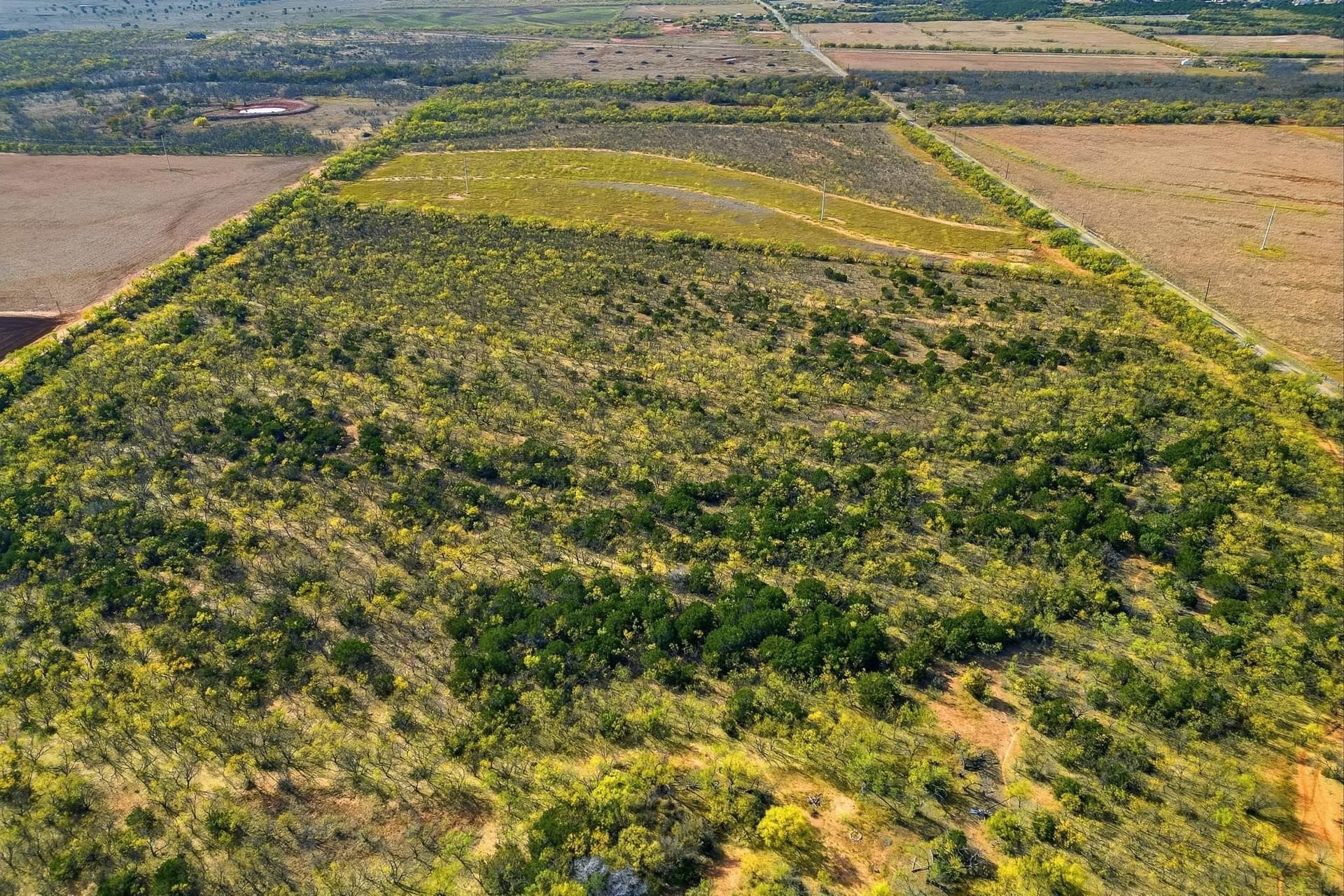 80 acres in Taylor County - photo 8