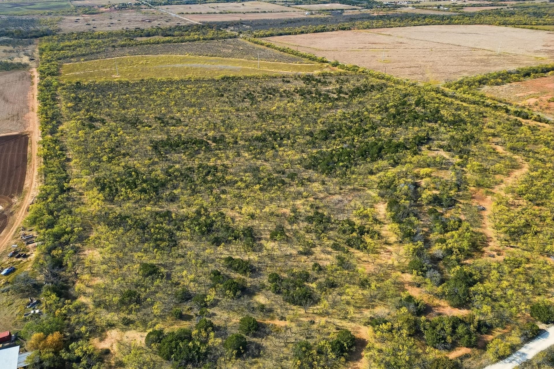 80 acres in Taylor County - photo 4