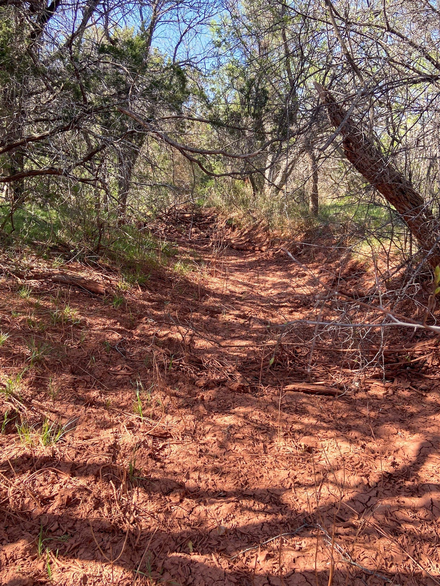 80 acres in Taylor County - photo 16