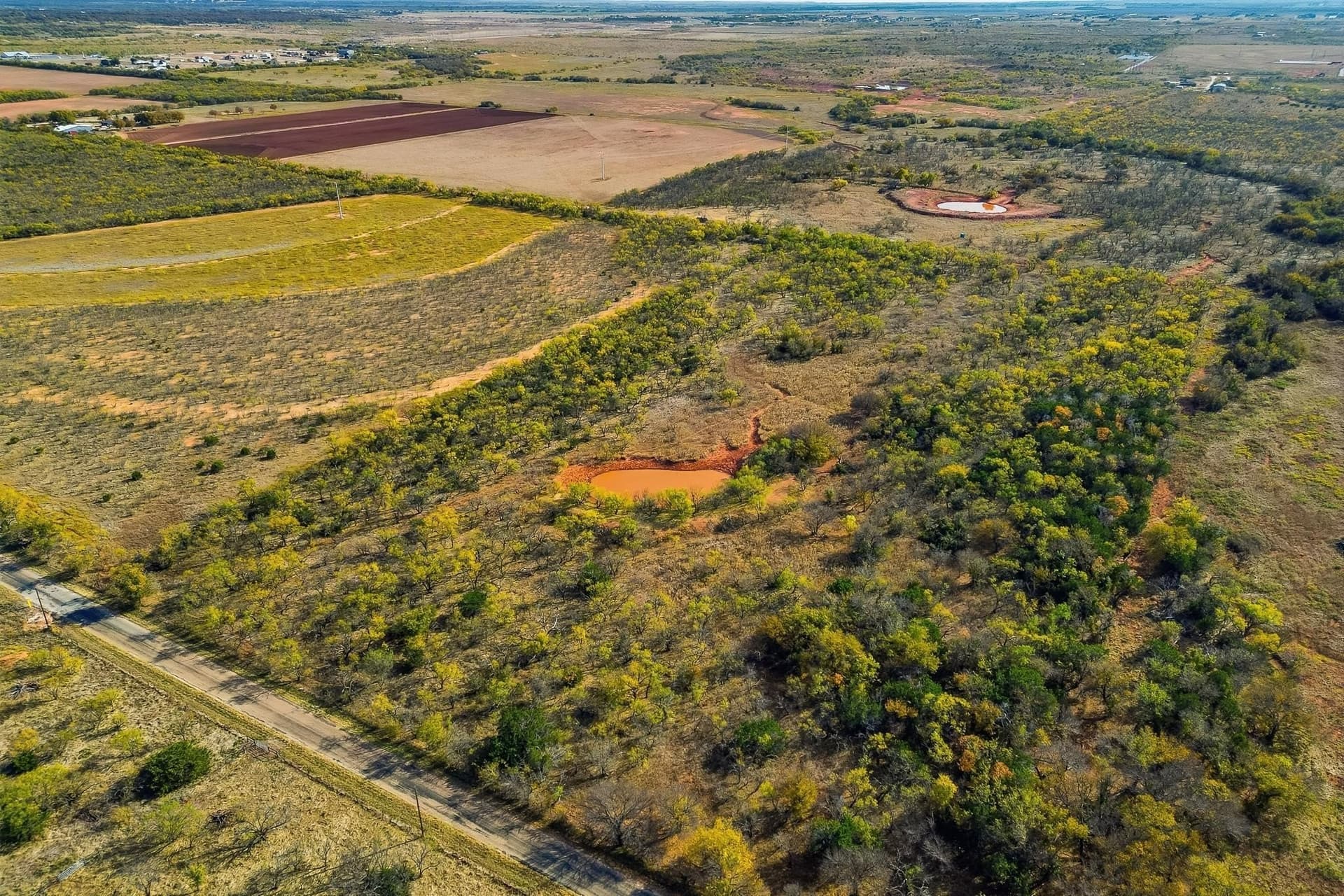 80 acres in Taylor County - photo 6