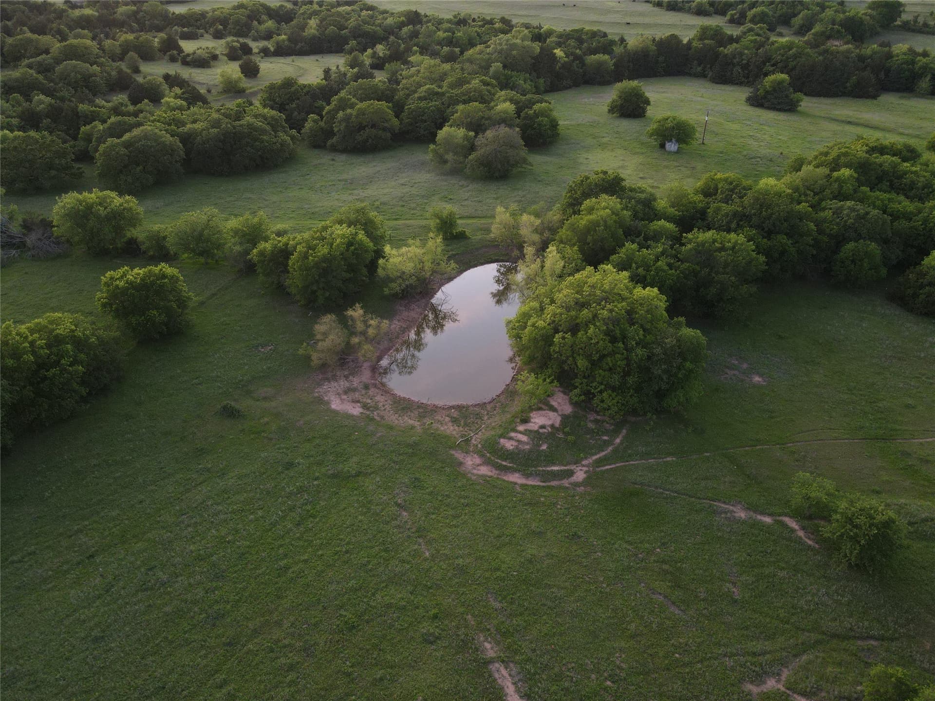 160 acres in Montague County - photo 8