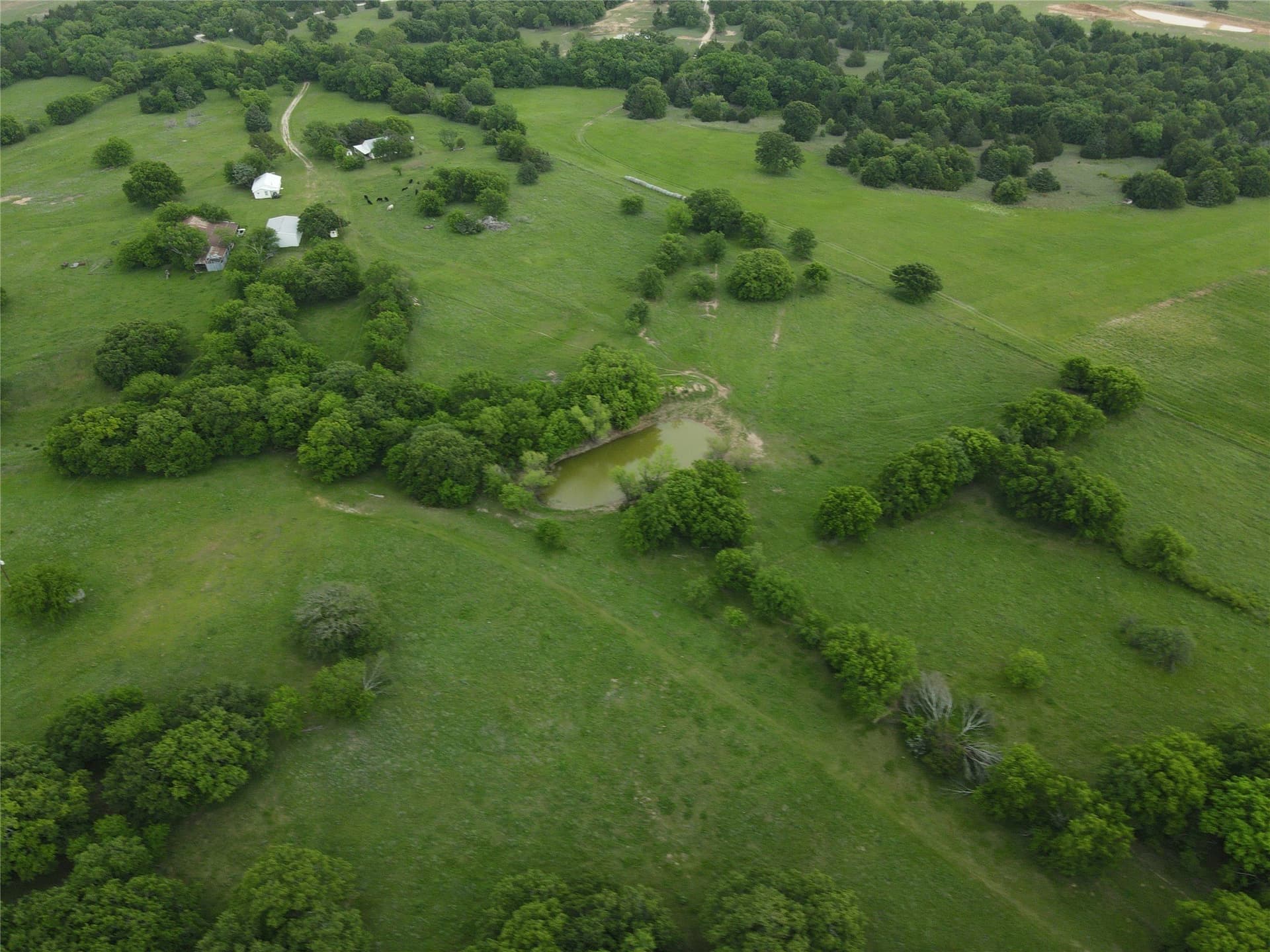 160 acres in Montague County gallery image 2