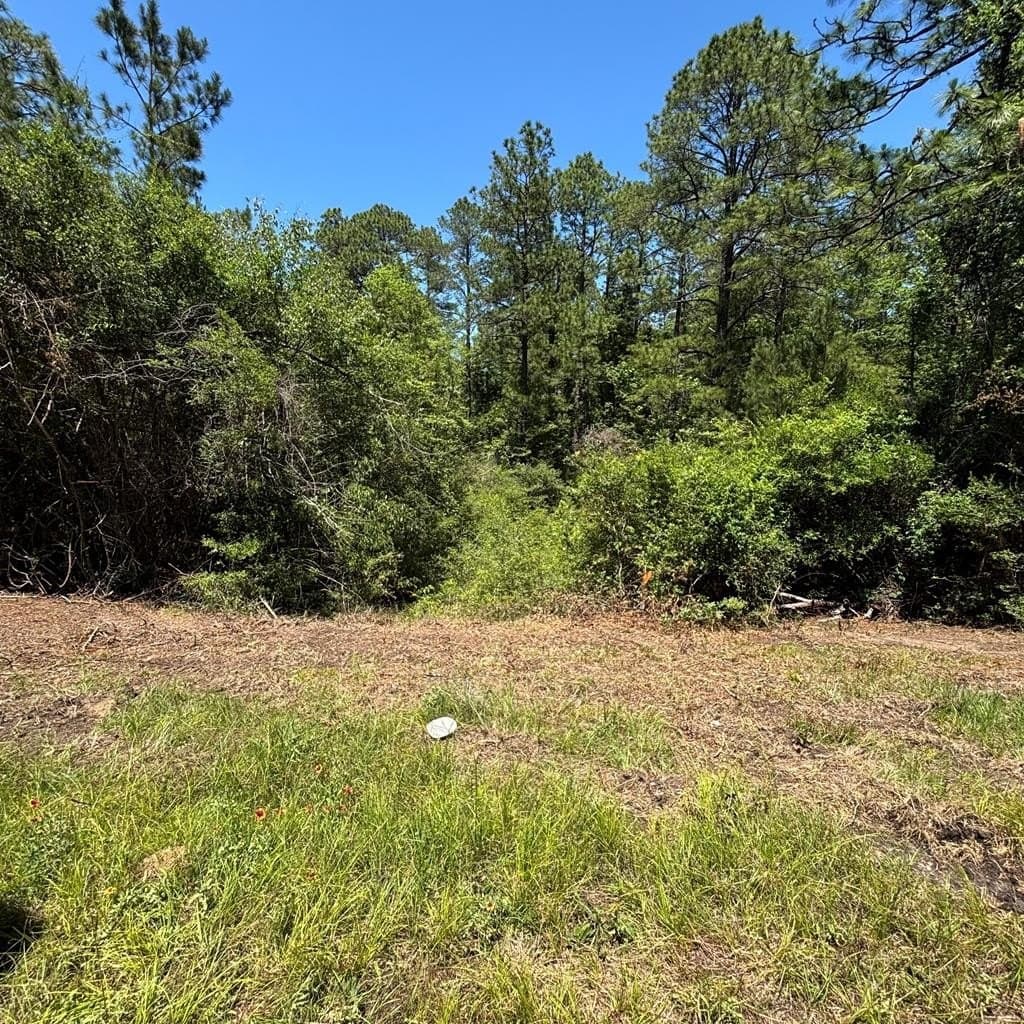 3.37 acres in Texas County - photo 4