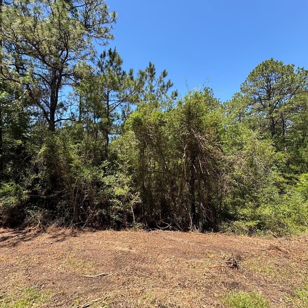 3.37 acres in Texas County - photo 5