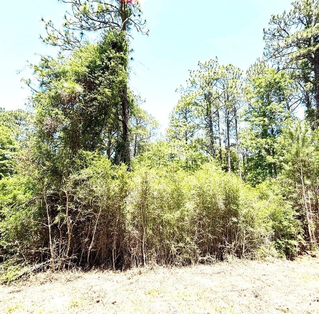 3.37 acres in Texas County