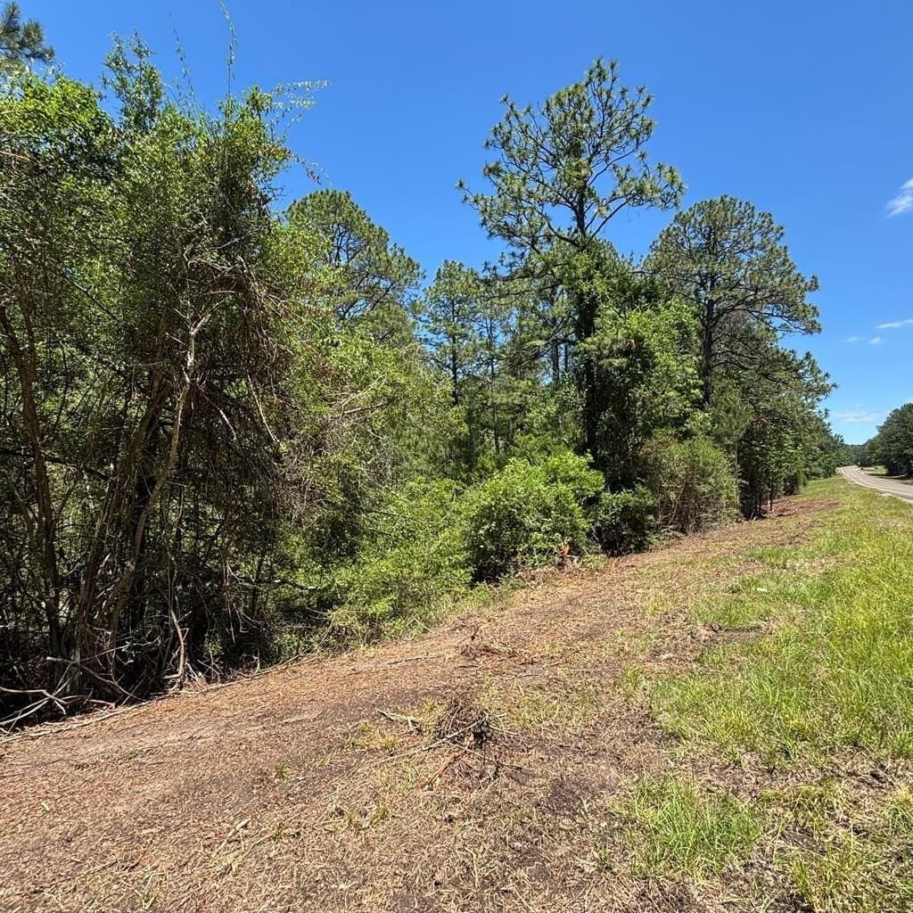 3.37 acres in Texas County - photo 2