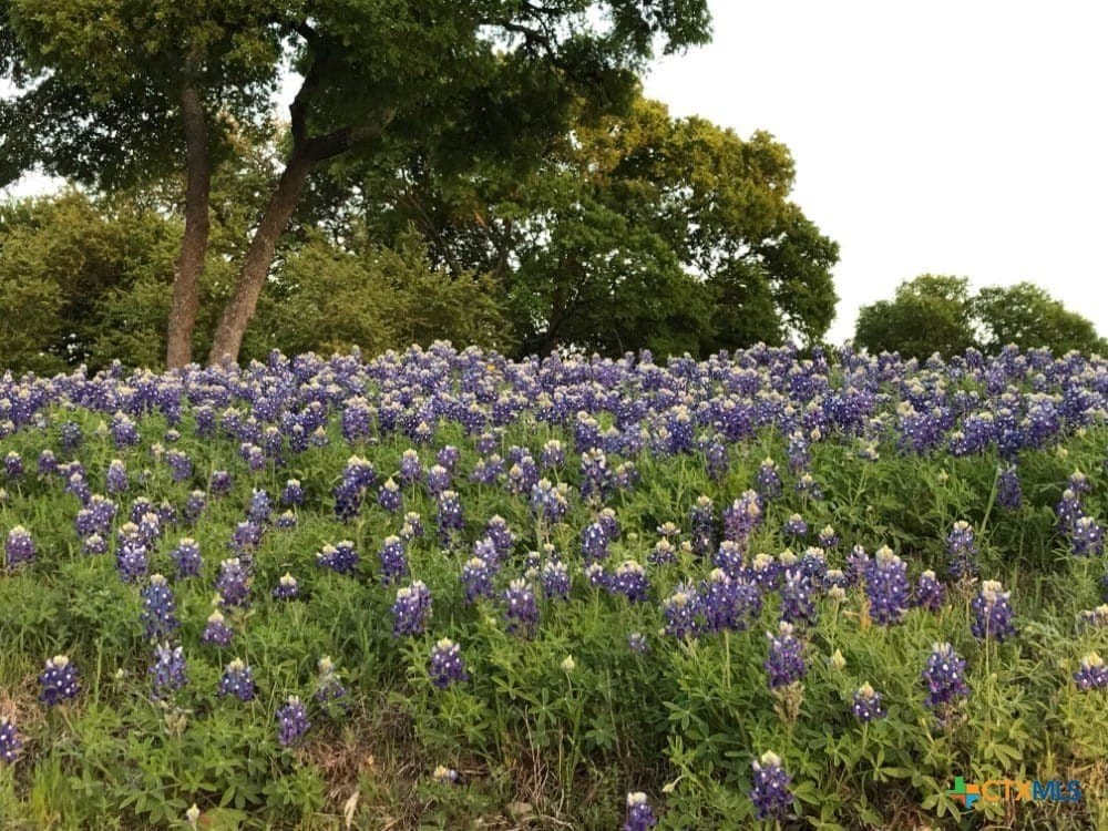 1.64 acres in Comal County - photo 20