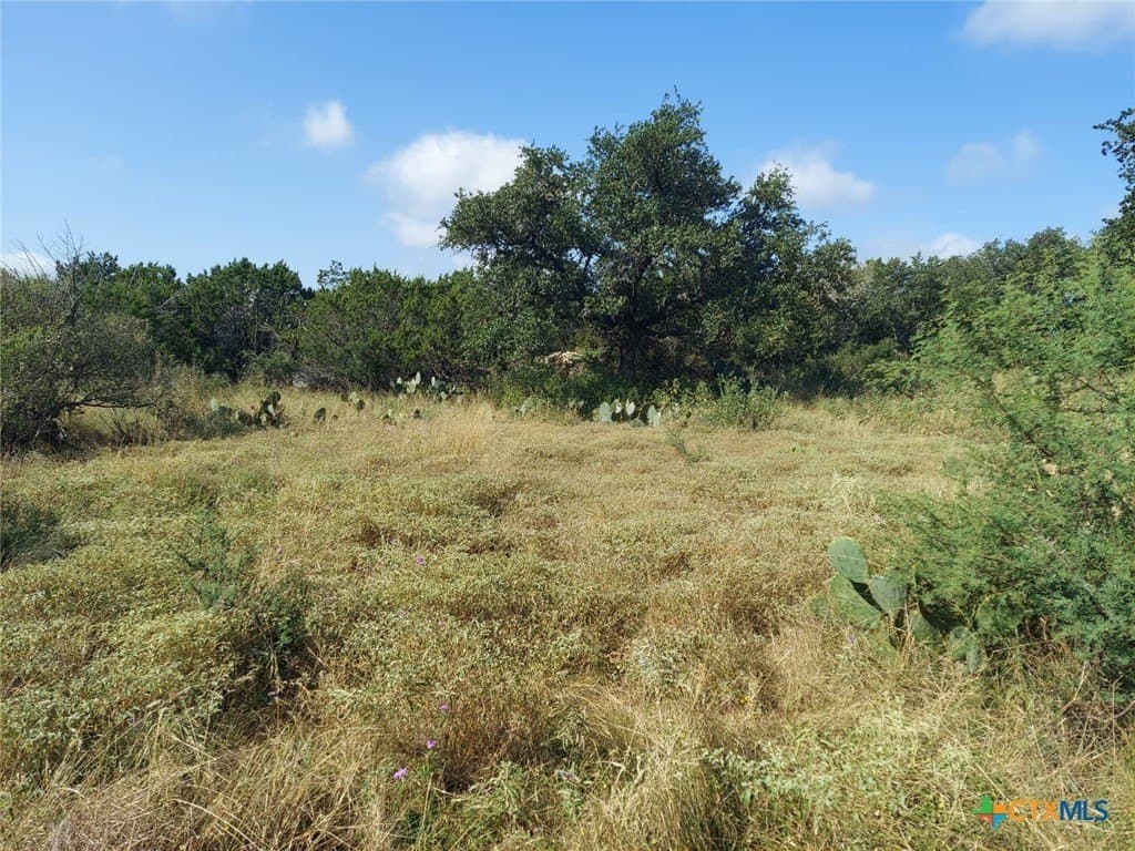 1.64 acres in Comal County - photo 5