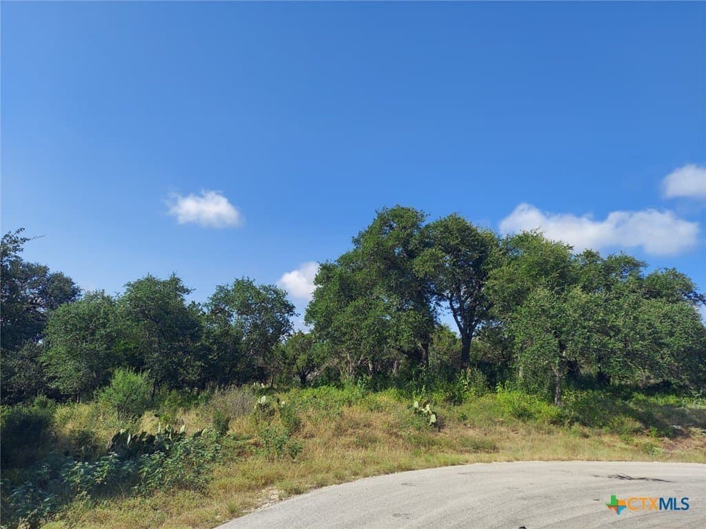 1.64 acres in Comal County - photo 4