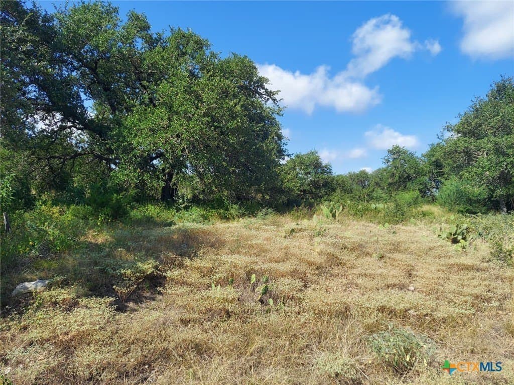 1.64 acres in Comal County - photo 6
