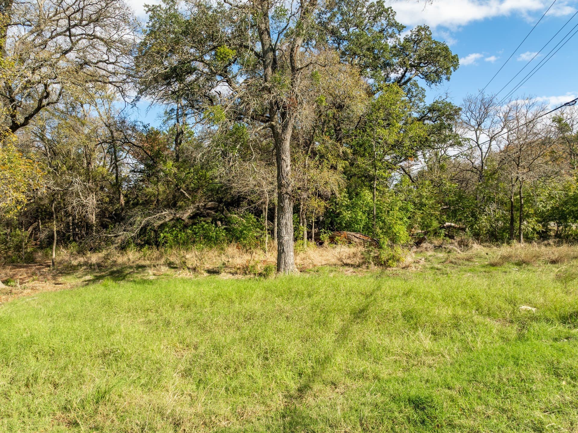 0.32 acres in Hill County - photo 2