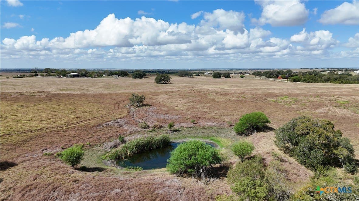 35 acres in Guadalupe County gallery image 2