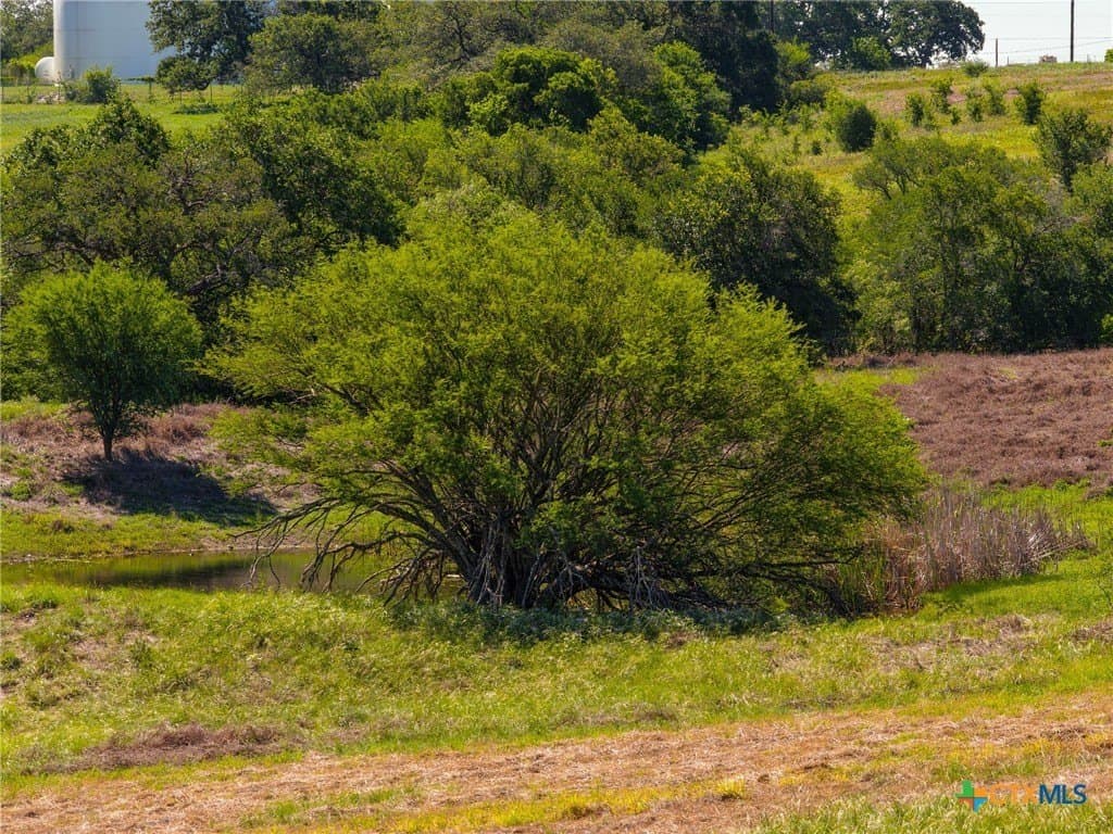 35 acres in Guadalupe County - photo 35