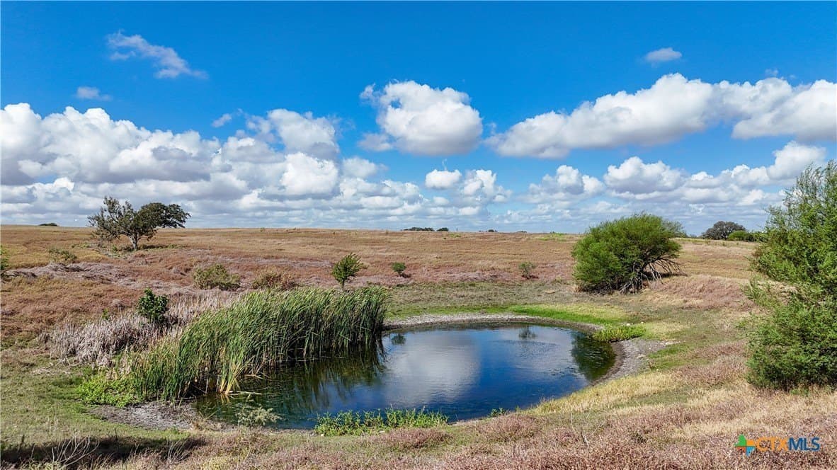 35 acres in Guadalupe County gallery image 3
